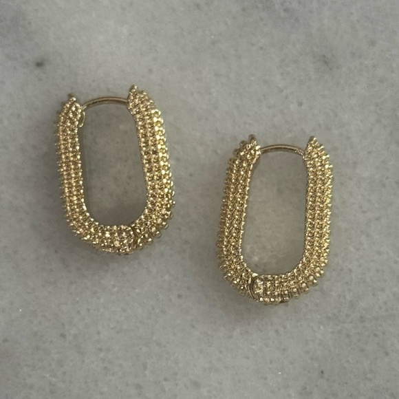 Modest Lu Jewelry - Gold Beaded Textured Thick Hoop Earrings
Brand New